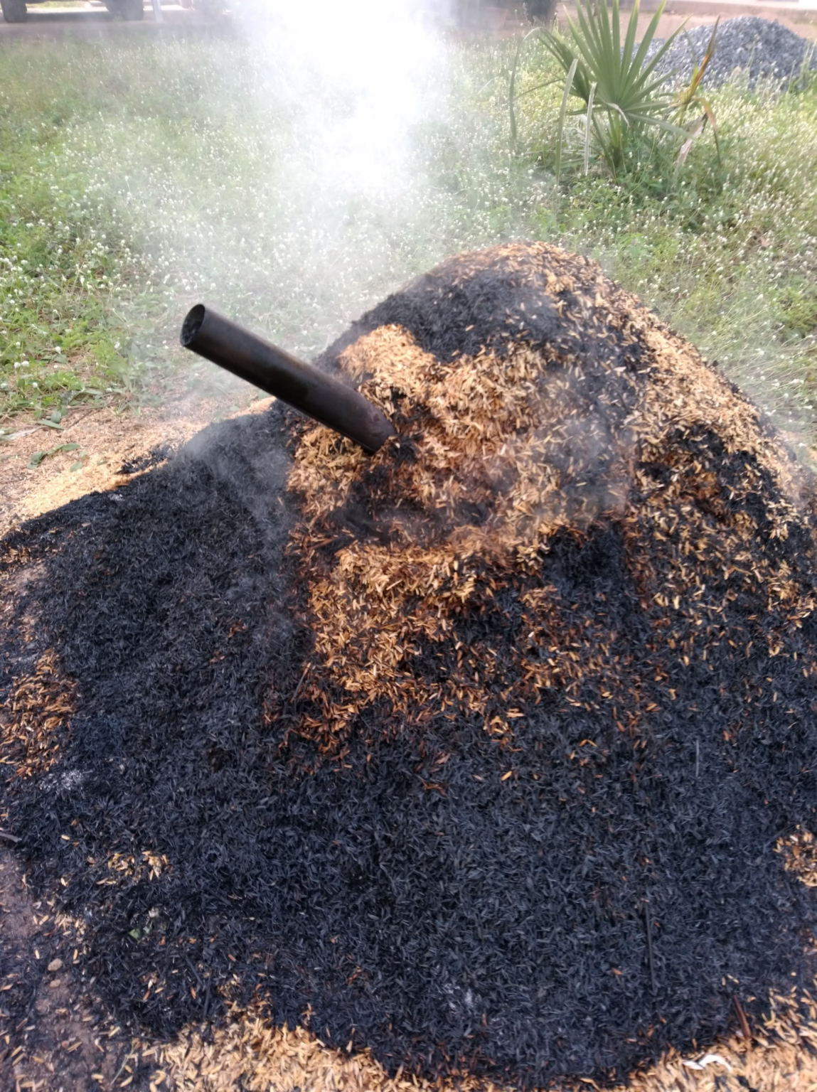 ツボ漑(水やり)